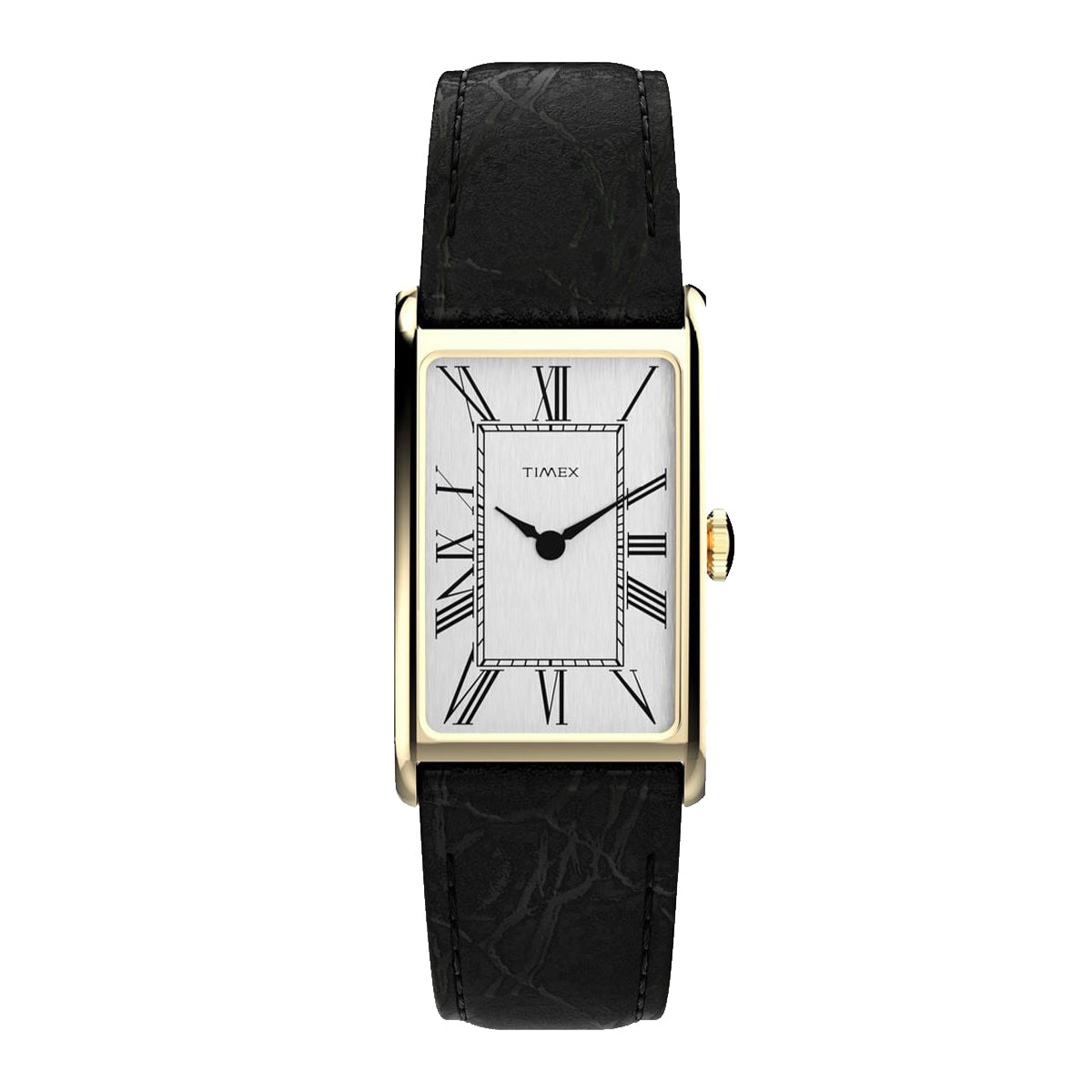 TIMEX 1976 Lexington Reissue TW2Y562