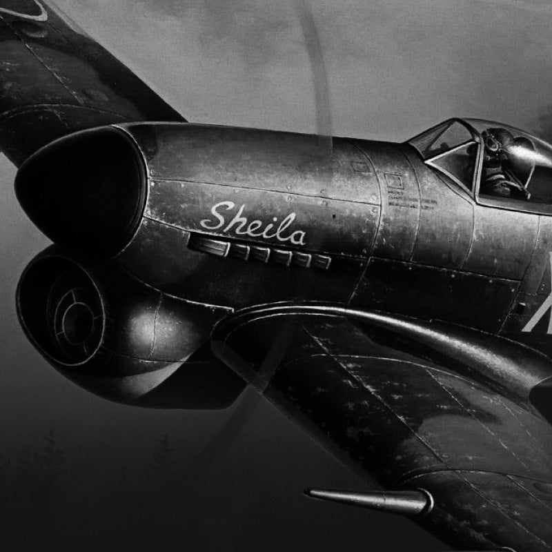 AVI - 8 Hawker Typhoon Sheila Limited Edition AV - 4093 - 03 - Lam Workshop