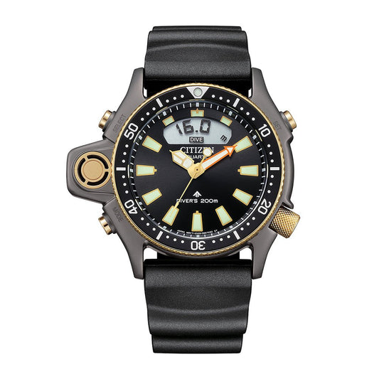 CITIZEN Promaster Aqualand 40th Anniversary Limited Edition JP2008 - 06E - Lam Workshop